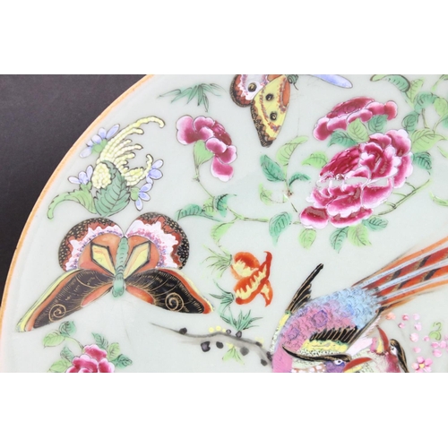 15 - 19th Century Chinese famille rose plate being hand decorated with birds of paradise to the centre su... 