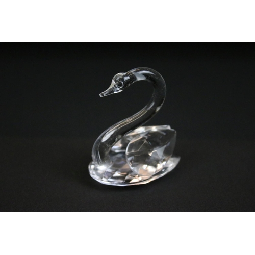 65 - Group of Swarovski crystal animals to include two mice, a cat, a hedgehog and a swan all marked Swar... 