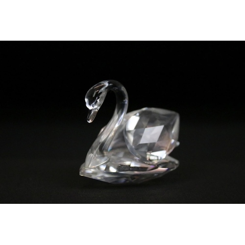 65 - Group of Swarovski crystal animals to include two mice, a cat, a hedgehog and a swan all marked Swar... 