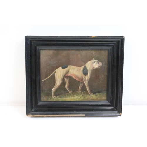 453 - Oil on board of a study of a fighting hound, 16cm x 21cm