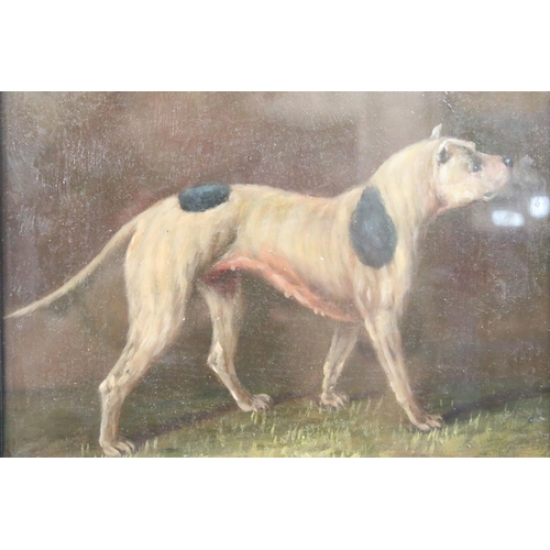 453 - Oil on board of a study of a fighting hound, 16cm x 21cm