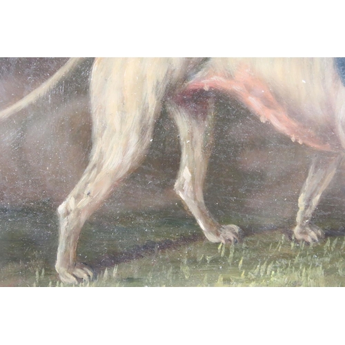 453 - Oil on board of a study of a fighting hound, 16cm x 21cm