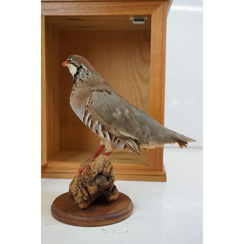 166 - Taxidermy Red Partridge perched on a mossy log to base, set within a glass doored display cabinet. M... 