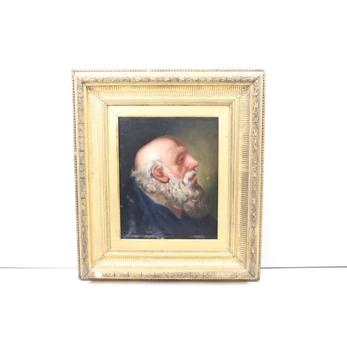 234 - Continental School, portrait of a bearded man, oil on canvas, 36 x 29cm, gilt framed