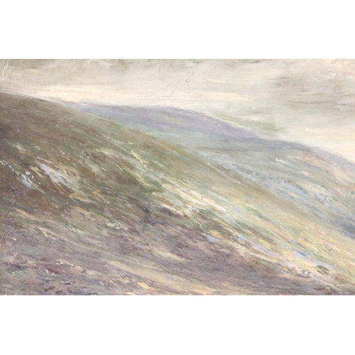 239 - English School, valley landscape, oil on board, indistinctly signed lower right 'J.W. Hol...', 29.5 ... 