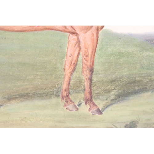 245 - James Loder of Bath (1784 - 1860), chestnut horse in a landscape, oil on canvas, signed lower right,... 