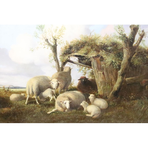 248 - Thomas Sidney Cooper (1803 - 1902), study of sheep by a shelter, oil on canvas, signed and dated 187... 