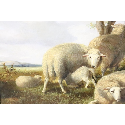 248 - Thomas Sidney Cooper (1803 - 1902), study of sheep by a shelter, oil on canvas, signed and dated 187... 