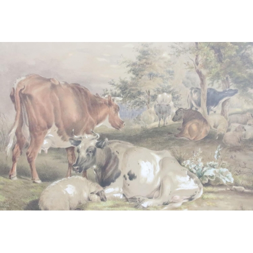 250 - Sidney Cooper (1803 - 1902), cattle and sheep in a field, watercolour, signed lower left, 33 x 44.5c... 