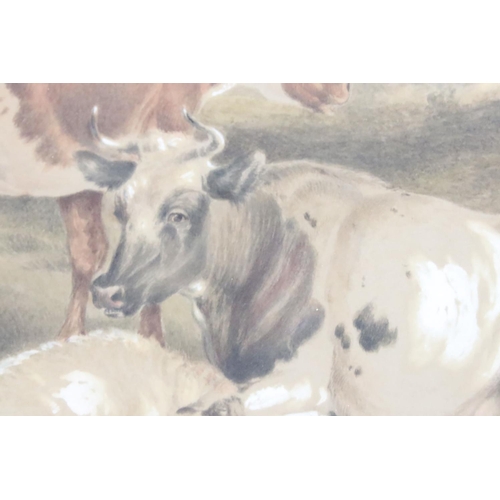 250 - Sidney Cooper (1803 - 1902), cattle and sheep in a field, watercolour, signed lower left, 33 x 44.5c... 