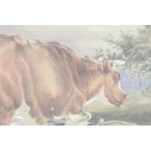 250 - Sidney Cooper (1803 - 1902), cattle and sheep in a field, watercolour, signed lower left, 33 x 44.5c... 