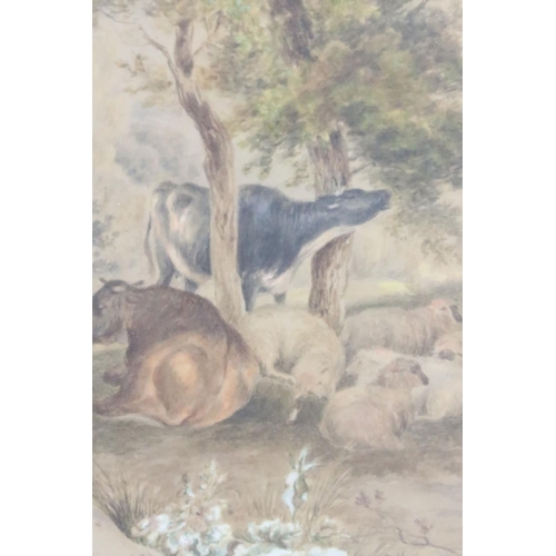 250 - Sidney Cooper (1803 - 1902), cattle and sheep in a field, watercolour, signed lower left, 33 x 44.5c... 