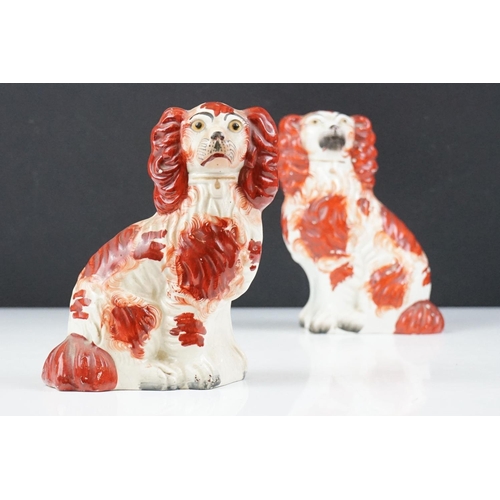 49 - Pair of 19th Century Victorian Staffordshire Mantle dogs in the form of spaniels. Measures 17cm tall... 