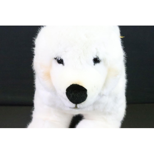 207 - Steiff - Studio Baby Polar Bear, no. 501586, 65cm, button & tag to ear, retired, in Steiff box (labe... 