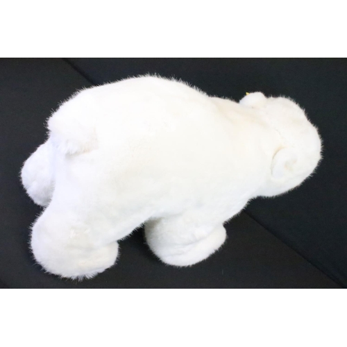 207 - Steiff - Studio Baby Polar Bear, no. 501586, 65cm, button & tag to ear, retired, in Steiff box (labe... 