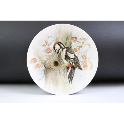 39 - Jean Evans - 1970s seven hand painted porcelain plates featuring assorted birds. All signed. Jean Ev... 