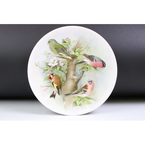 39 - Jean Evans - 1970s seven hand painted porcelain plates featuring assorted birds. All signed. Jean Ev... 