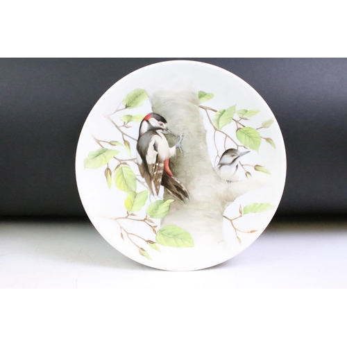 39 - Jean Evans - 1970s seven hand painted porcelain plates featuring assorted birds. All signed. Jean Ev... 