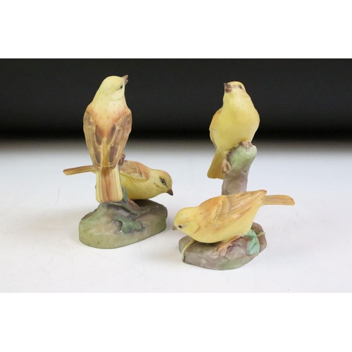 43 - Eight ceramic bird figures to include 4 x Royal Worcester examples (2 x 3377 Yellow Hammers, 3363 Pi... 