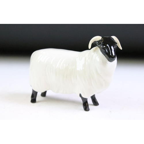 61 - Three Beswick ceramic sheep figurines to include a ewe, and two horned sheep. All with stamped marks... 