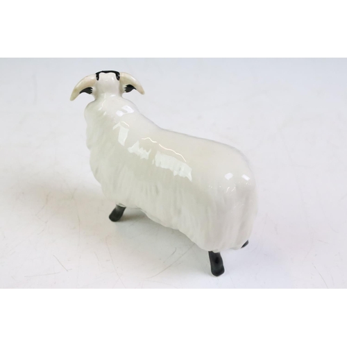 61 - Three Beswick ceramic sheep figurines to include a ewe, and two horned sheep. All with stamped marks... 