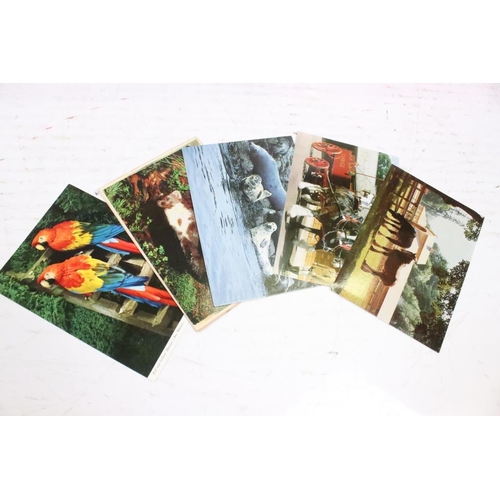 384 - Extensive collection of late 20th century postcards contained within 13 boxes / albums, covering a r... 