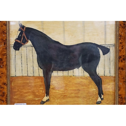 469 - Oil painting of hunter in stable set in a burr walnut and gilt frame, 34 x 34cm