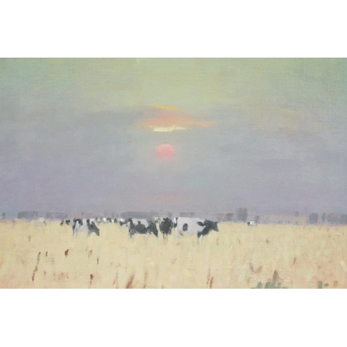 476 - Stephen Brown, Cows at Sunset, oil on canvas, label verso for The Sheen Gallery, London, exhibited 2... 