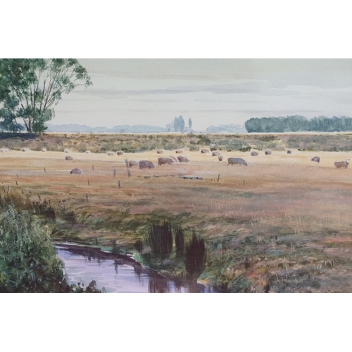 481 - RM Boulton, river scene with sheep in the field behind, watercolour, signed lower right, 30 x 49cm t... 