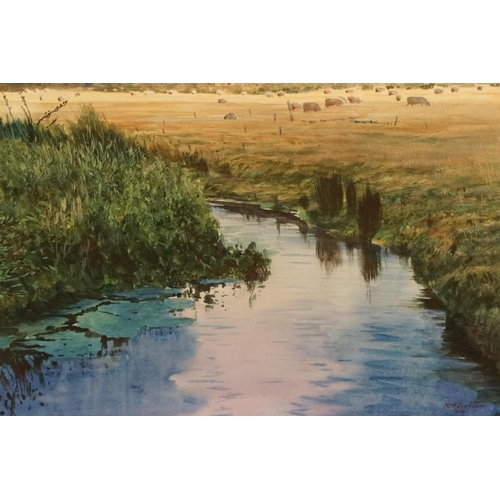 481 - RM Boulton, river scene with sheep in the field behind, watercolour, signed lower right, 30 x 49cm t... 