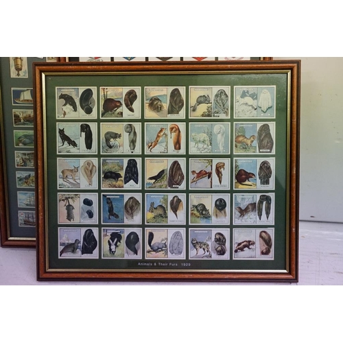 517 - Large collection of framed cigarette cards, to include: Benson's 