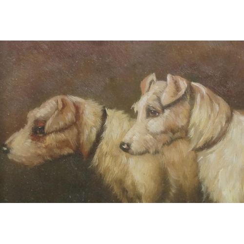 518 - Oil on Board Study of Two Parson Russell Terriers, Oak Framed, 19cm x 23cm