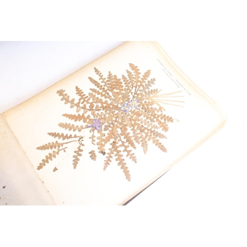 212 - Early 20th century Jerusalem olive wood book containing ' photographs and flowers of the hl. land ',... 