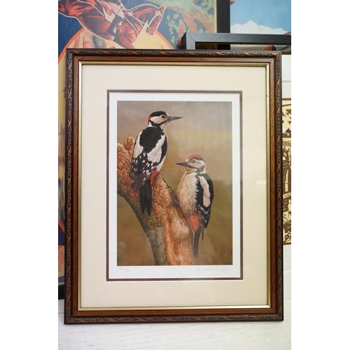 511 - Saumur poster, 38.5 x 58.5cm, framed and glazed, Robert E Fuller, woodpeckers, limited edition colou... 