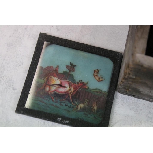 655 - Six boxes of magic lantern slides, subjects to include: cats, fishing scenes (Studies of Fisher Life... 