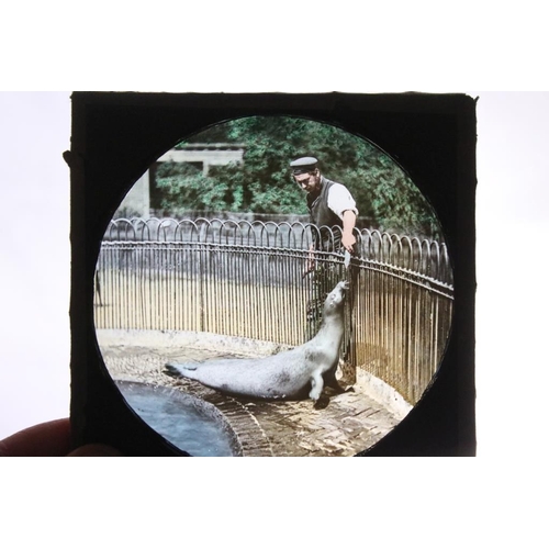 659 - Three boxes of magic lantern slides, subjects to include: religious interest, zoo animals including ... 