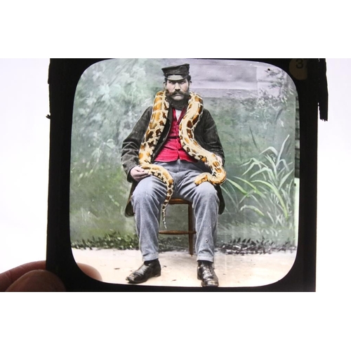 659 - Three boxes of magic lantern slides, subjects to include: religious interest, zoo animals including ... 