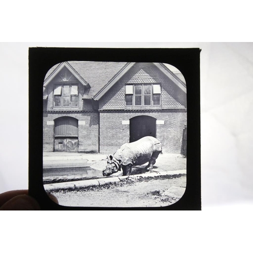 664 - Five boxes of magic lantern slides, subjects to include: stories, Everett Edgcumbe London electrical... 