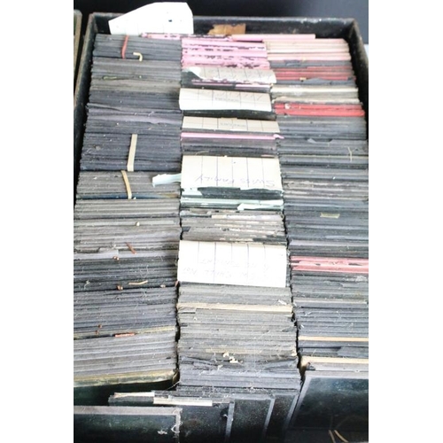 583 - Three boxes of magic lantern slides to include domestic animals, flowers, marine animals, insects, g... 