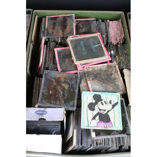 583 - Three boxes of magic lantern slides to include domestic animals, flowers, marine animals, insects, g... 