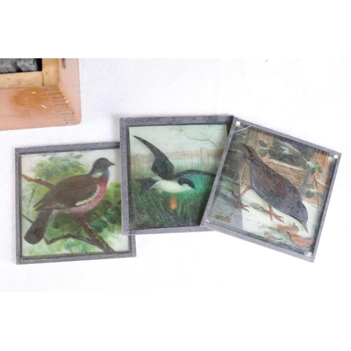 613 - Three boxes of magic lantern slides. Subjects to include birds (hand coloured), Royal related includ... 