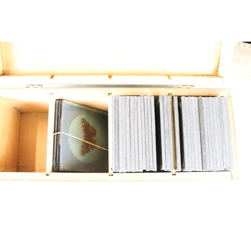 613 - Three boxes of magic lantern slides. Subjects to include birds (hand coloured), Royal related includ... 