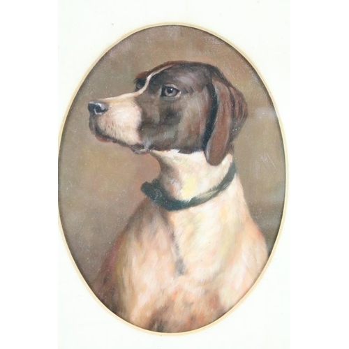 425 - Oak Framed Oil Painting of an English Pointer Dog, 22 x 16cm