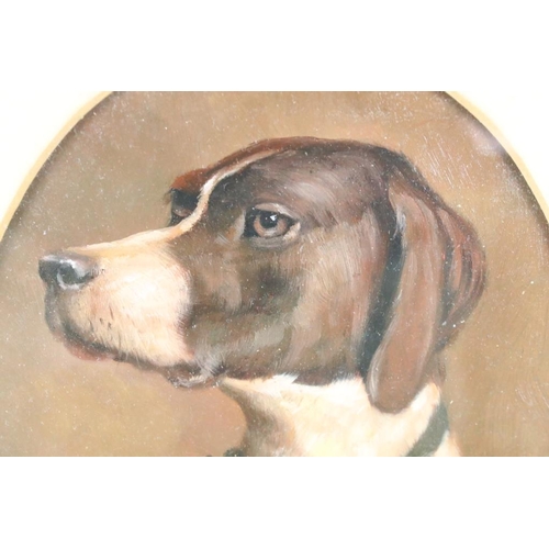 425 - Oak Framed Oil Painting of an English Pointer Dog, 22 x 16cm