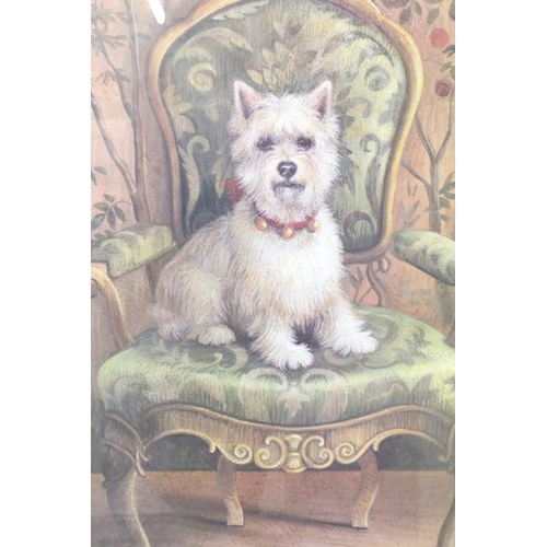 440 - Elaine Vollherbst, West Highland white terrier ( westie ) on an ornamental chairs with arms, colour ... 