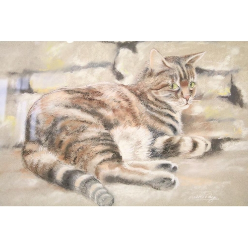 453 - Michael Poge, tabby cat resting against a stone wall, pastel, 34 x 47cm, framed and glazed