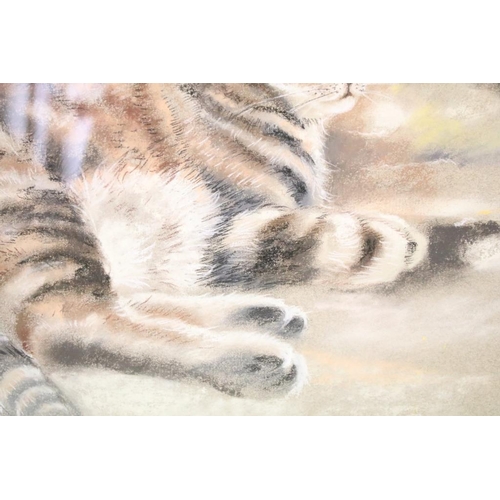 453 - Michael Poge, tabby cat resting against a stone wall, pastel, 34 x 47cm, framed and glazed