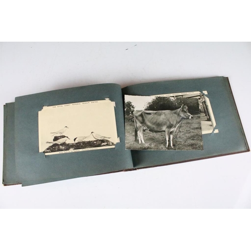 192 - Album of approximately 50 Postcards, mostly Early 20th century