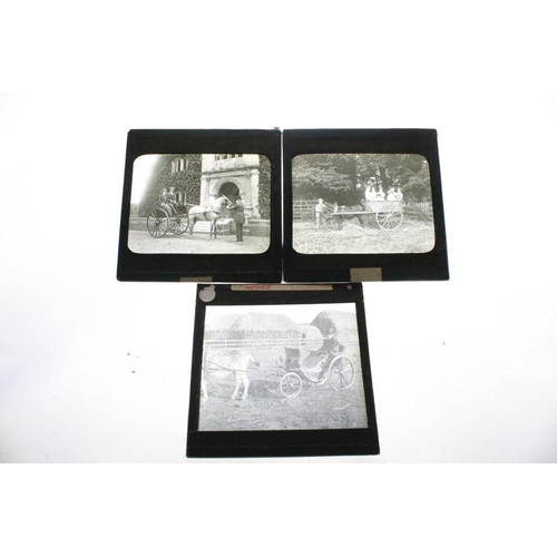 644 - A collection of over 50 glass magic lantern slides contained within a wooden case to include Leisure... 