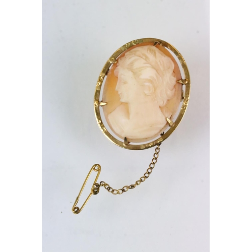 170 - Shell cameo 9ct yellow gold brooch, female profile facing left, claw set, halo gold surround, brooch... 